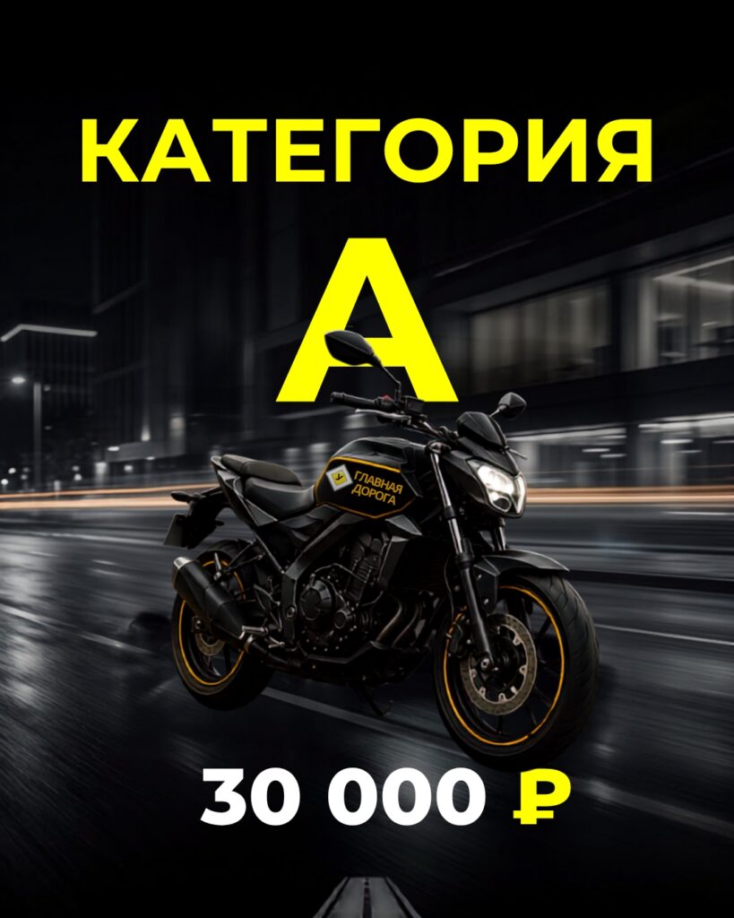 Cat a 819x1024