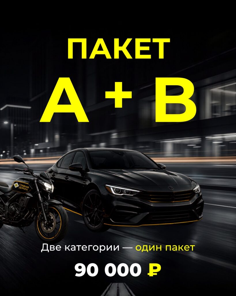 Cat a b 819x1024