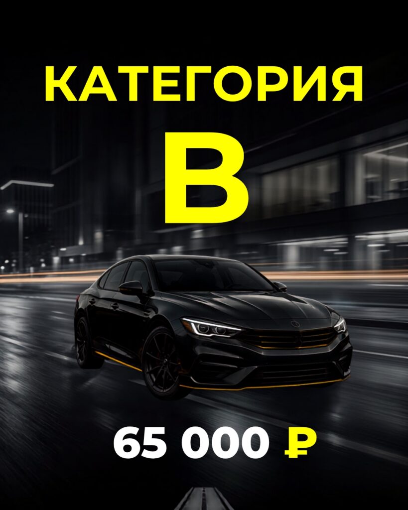 Cat b 819x1024