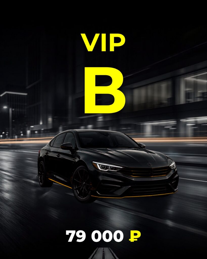 Cat b vip 819x1024